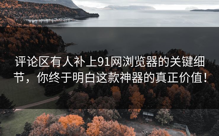 评论区有人补上91网浏览器的关键细节，你终于明白这款神器的真正价值！