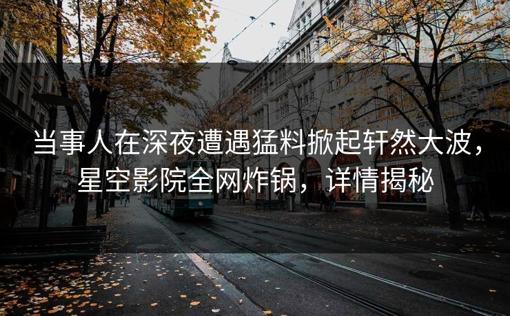 当事人在深夜遭遇猛料掀起轩然大波，星空影院全网炸锅，详情揭秘
